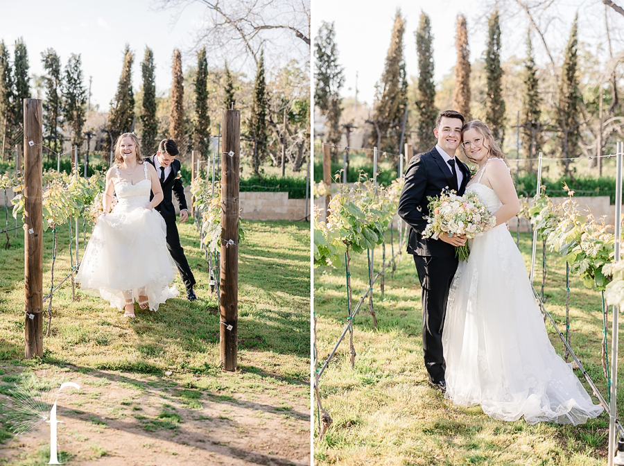 Forgotten Barrel Winery Wedding | Shelby & Jacob 