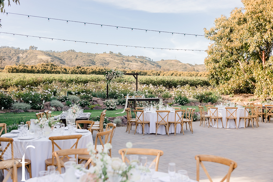 Gerry Ranch Wedding | Candice & Tony