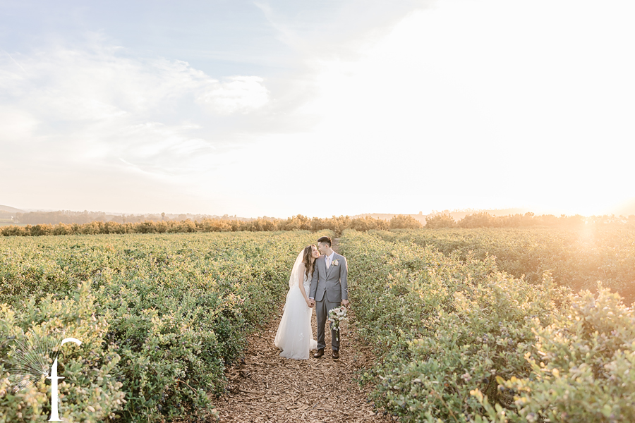 Gerry Ranch Wedding | Candice & Tony