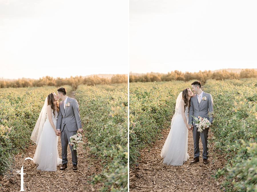 Gerry Ranch Wedding | Candice & Tony