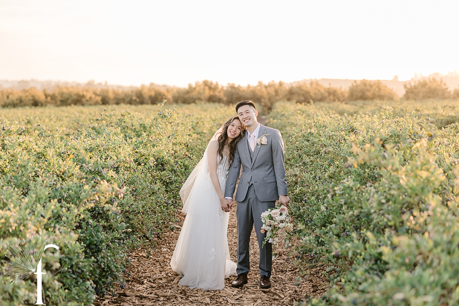 Gerry Ranch Wedding | Candice & Tony