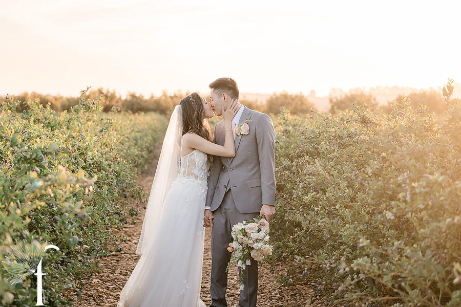 Gerry Ranch Wedding | Candice & Tony