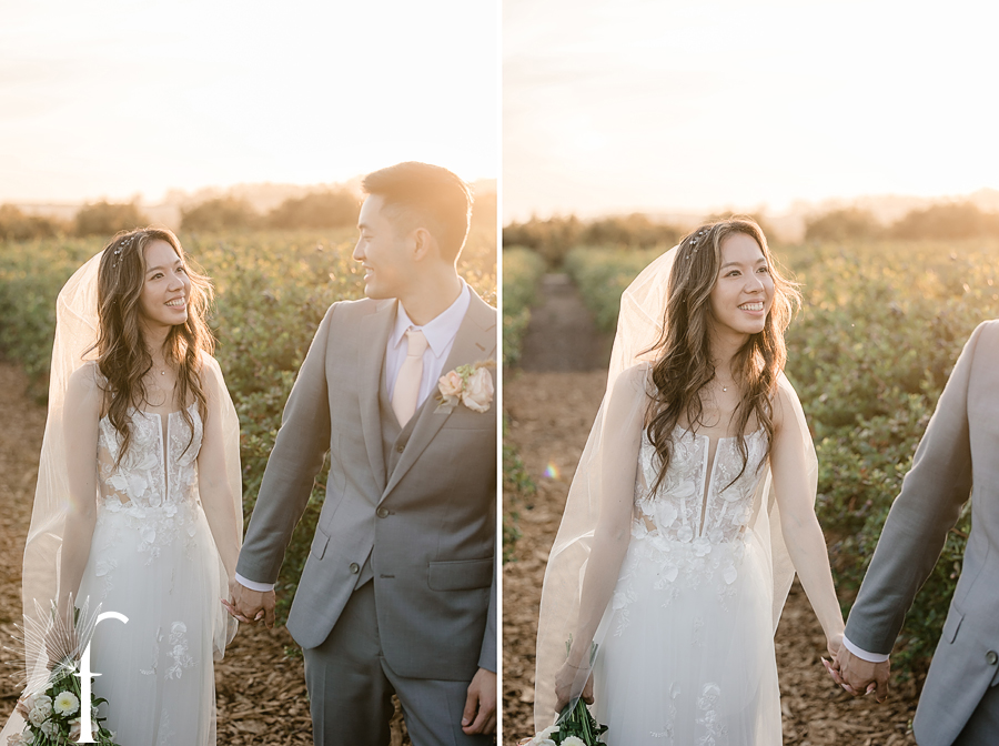 Gerry Ranch Wedding | Candice & Tony