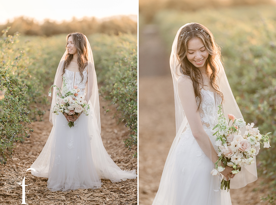 Gerry Ranch Wedding | Candice & Tony