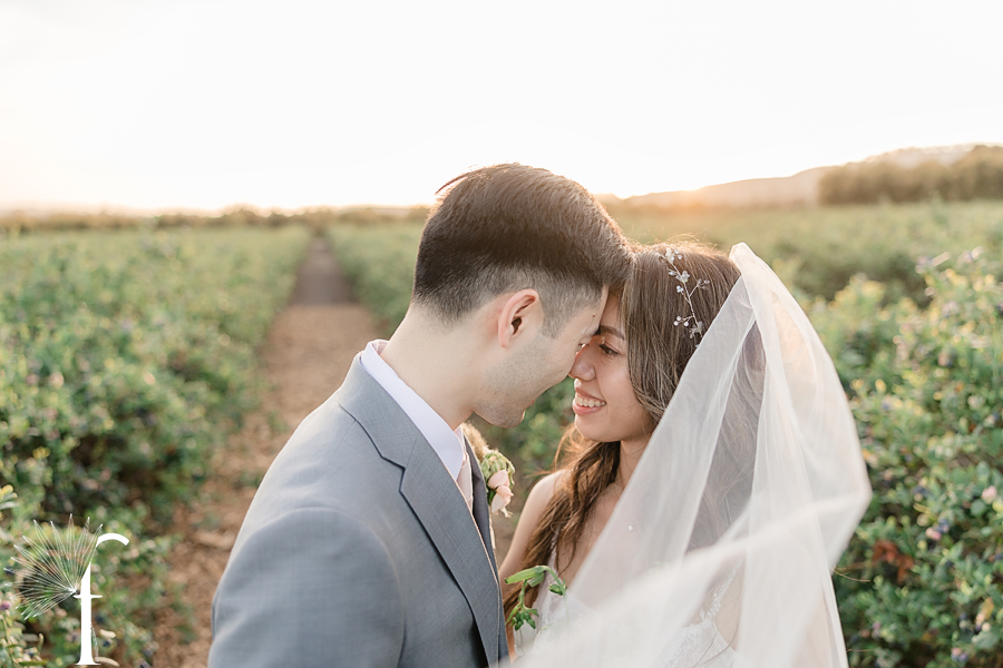 Gerry Ranch Wedding | Candice & Tony