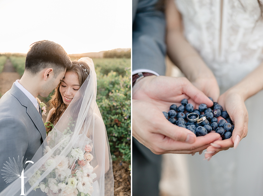 Gerry Ranch Wedding | Candice & Tony