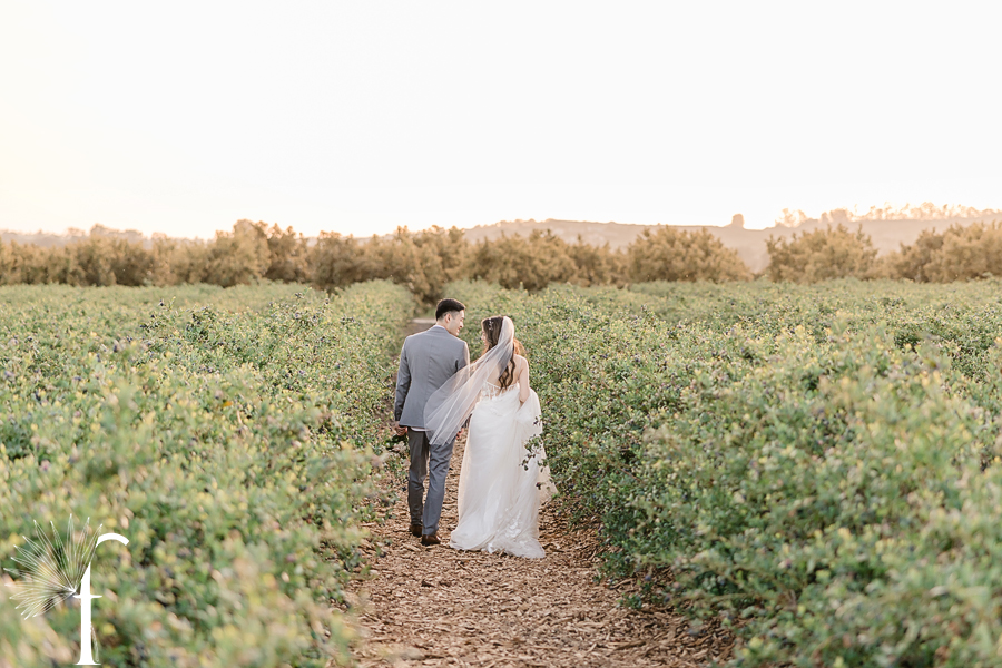 Gerry Ranch Wedding | Candice & Tony