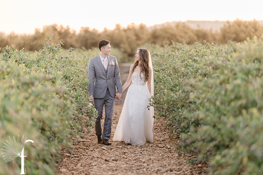 Gerry Ranch Wedding | Candice & Tony