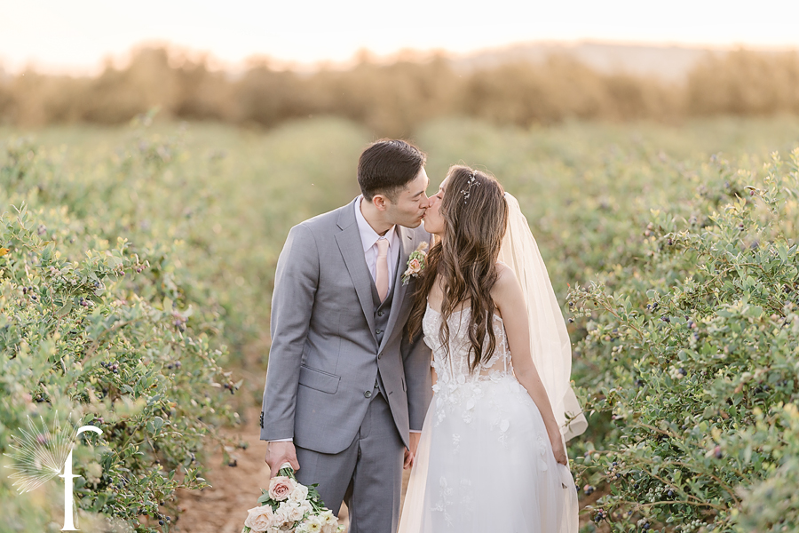 Gerry Ranch Wedding | Candice & Tony