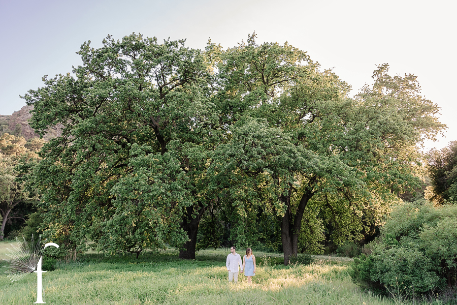 Malibu Creek State Park Engagement | Georgie & Michael 