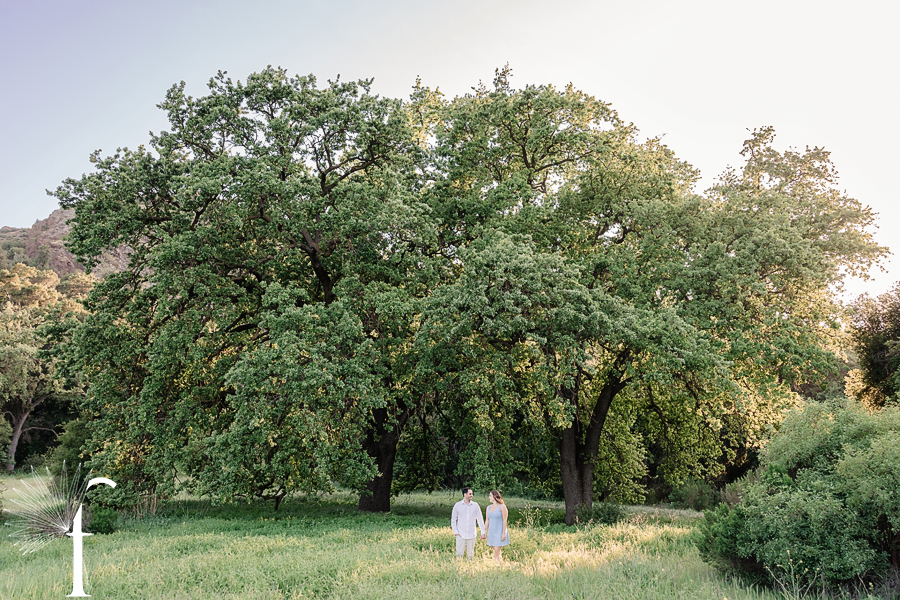 Malibu Creek State Park Engagement | Georgie & Michael 