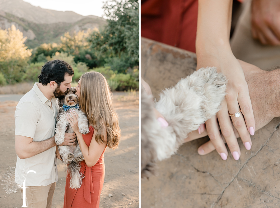 Malibu Creek State Park Engagement | Marika & Marc 