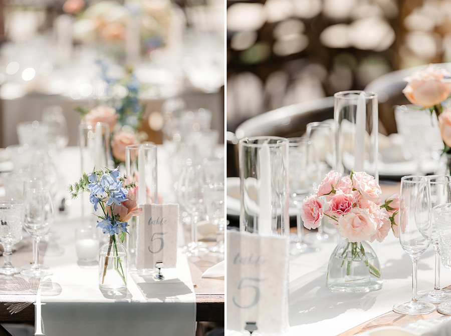 Maravilla Gardens Wedding | Heidi & Craig