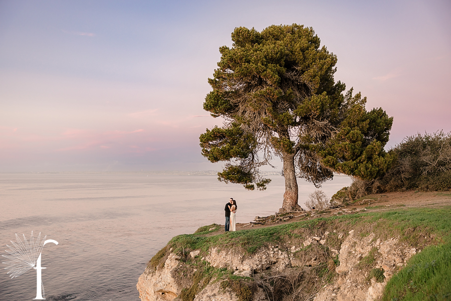 Palos Verdes Cliff Engagement | Marissa & Nick 