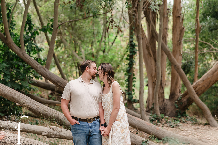 Palos Verdes Forest Engagement | Kate & David 