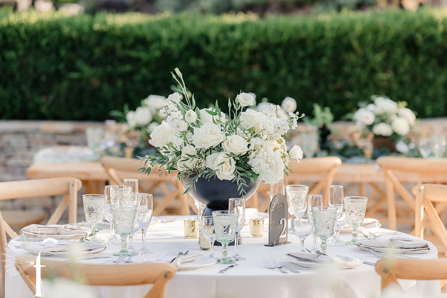 Claudia & Gabriel | Casi Cielo Wedding