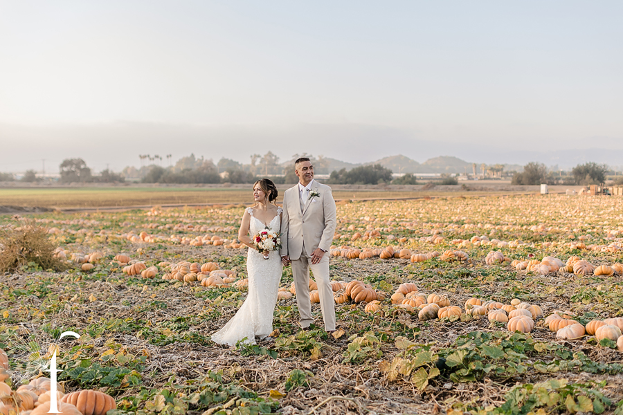 Claudia & Gabriel | Casi Cielo Wedding