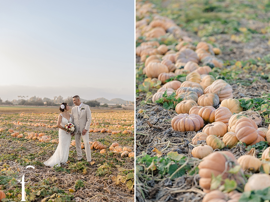 Claudia & Gabriel | Casi Cielo Wedding