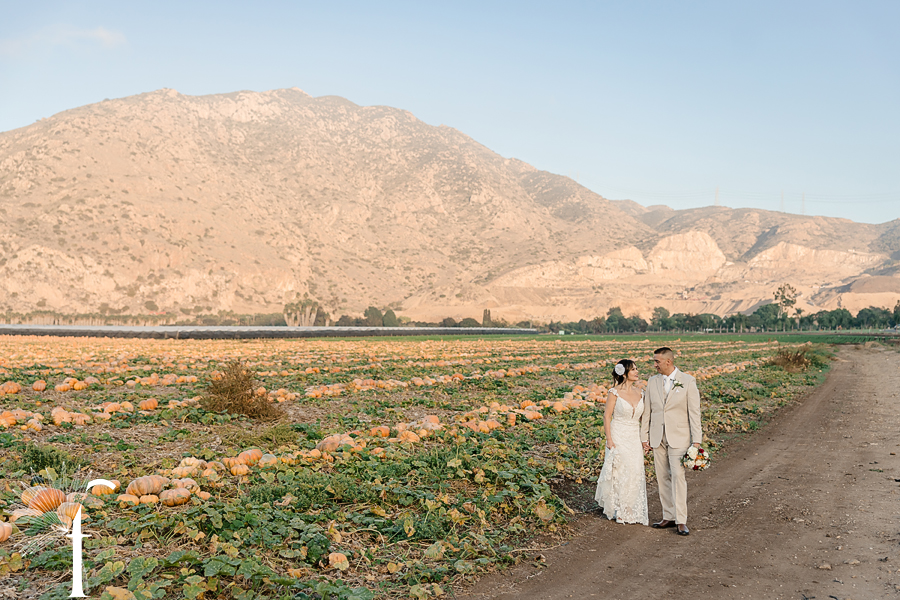 Claudia & Gabriel | Casi Cielo Wedding