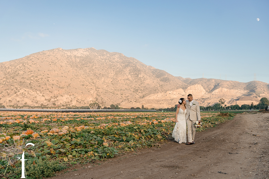 Claudia & Gabriel | Casi Cielo Wedding