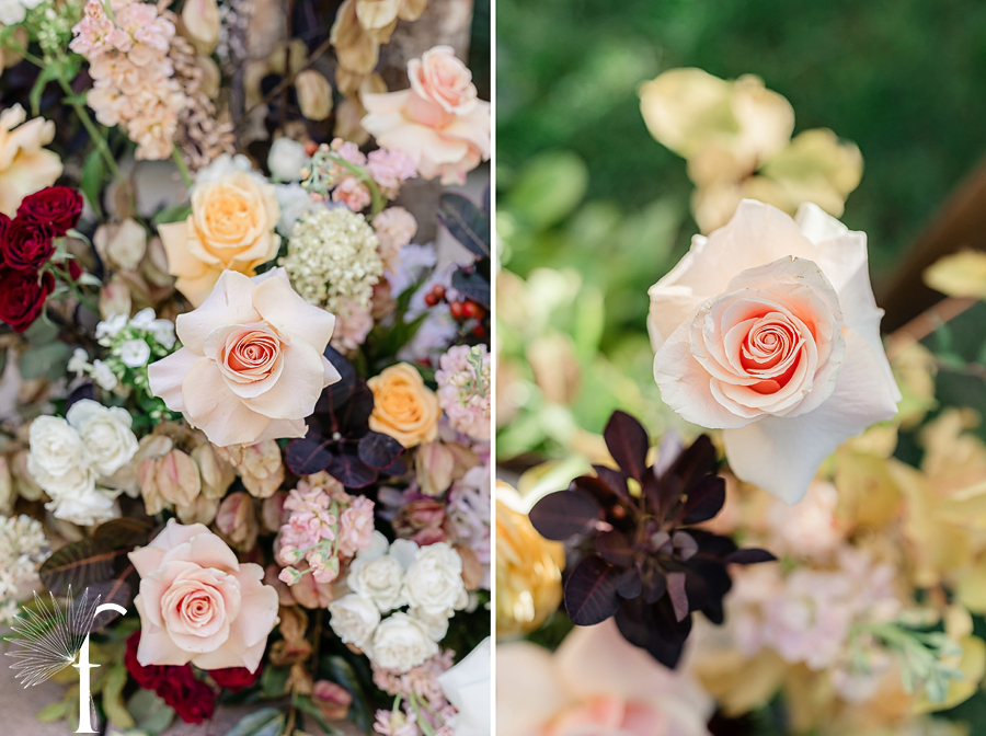 Maravilla Garden Wedding | Tara & Dan