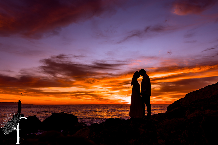 Terranea Resort Engagement Palos Verdes | Victoria & Zach