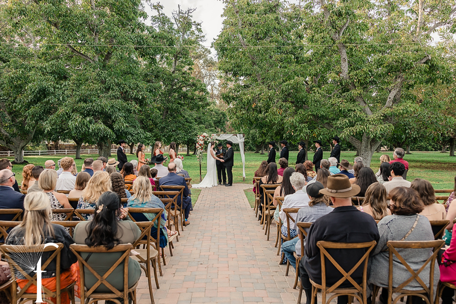 Kate & David | Walnut Grove Weddings