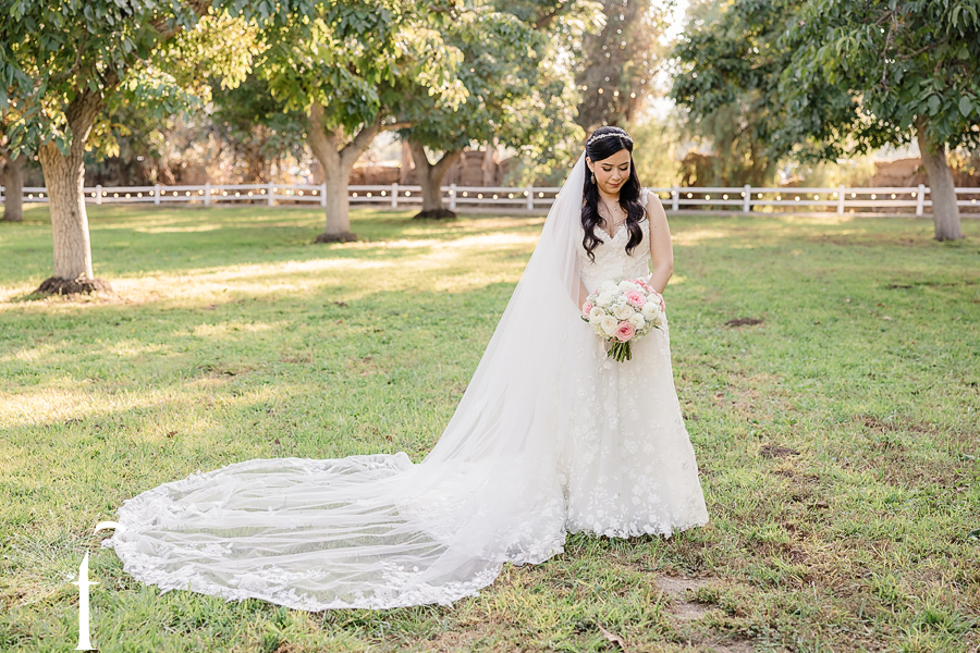 Alejandra & Fernando | Walnut Grove Wedding