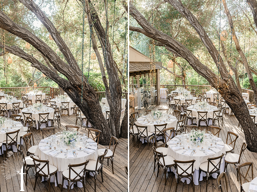 Calamigos Ranch Birchwood Room Wedding | Michelle & David 
