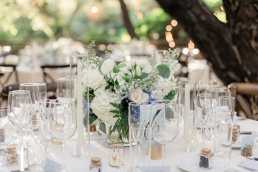 Calamigos Ranch Birchwood Room Wedding | Michelle & David 