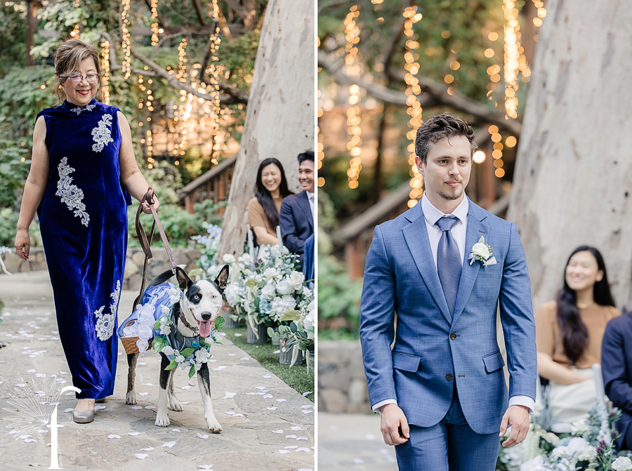 Calamigos Ranch Birchwood Room Wedding | Michelle & David 