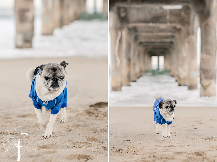 Manhattan Beach Pier Family Portraits | Wood Family 