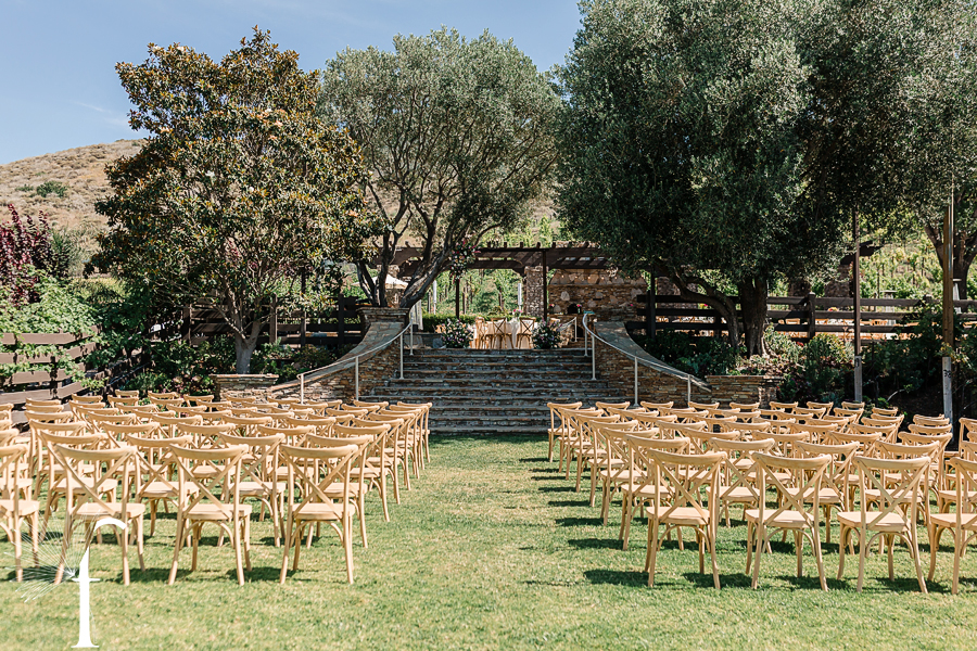 Casi Cielo Vineyards Wedding | Laura & Chris 