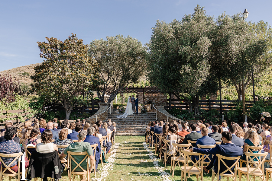 Casi Cielo Vineyards Wedding | Laura & Chris 