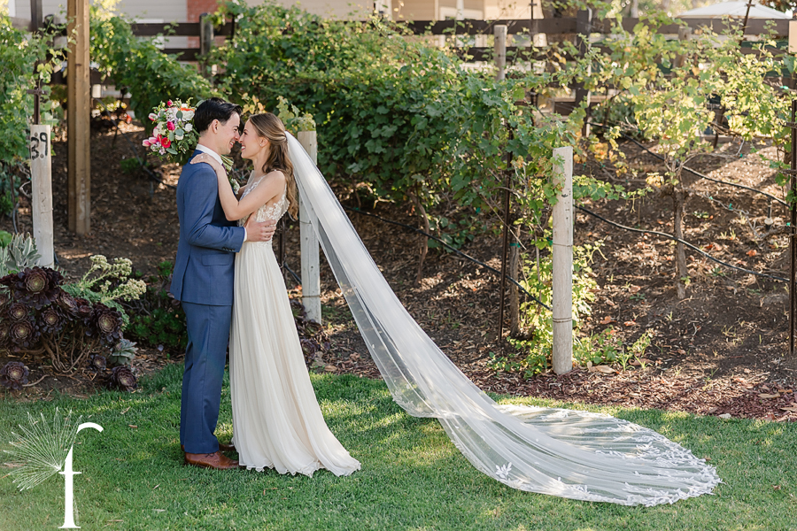 Casi Cielo Vineyards Wedding | Laura & Chris 
