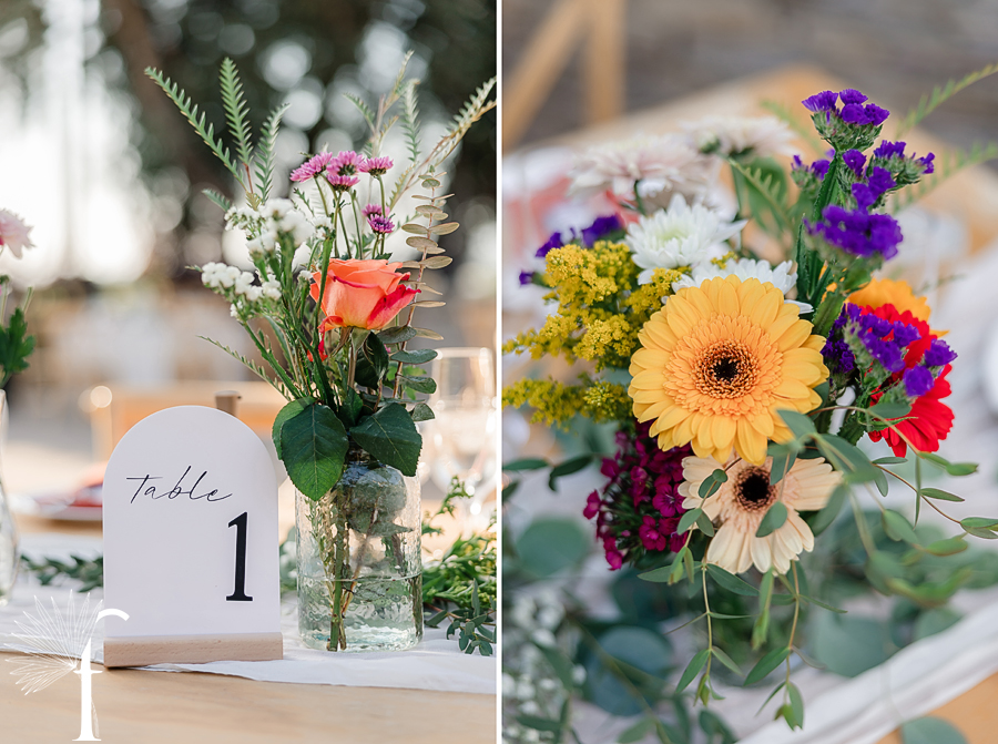 Casi Cielo Vineyards Wedding | Laura & Chris 