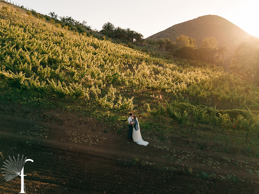 Casi Cielo Vineyards Wedding | Laura & Chris 