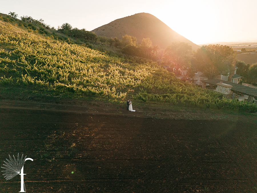 Casi Cielo Vineyards Wedding | Laura & Chris 