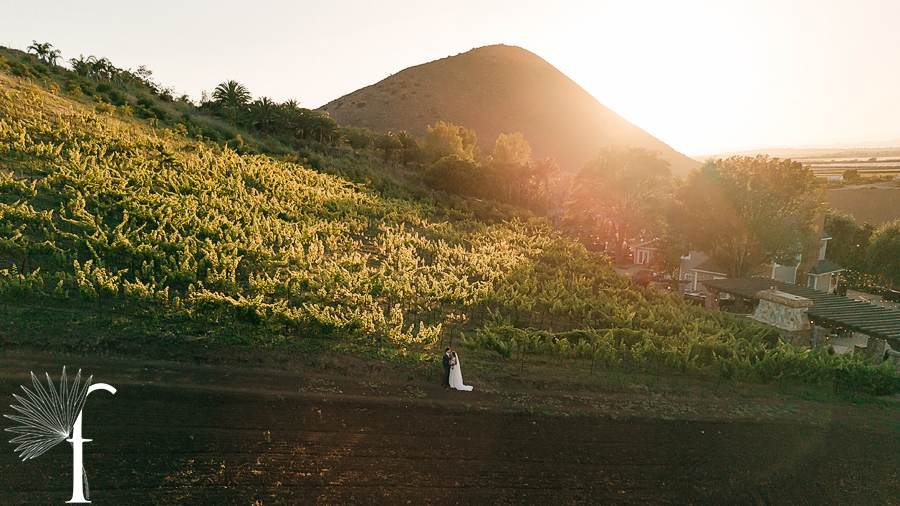 Casi Cielo Vineyards Wedding | Laura & Chris 
