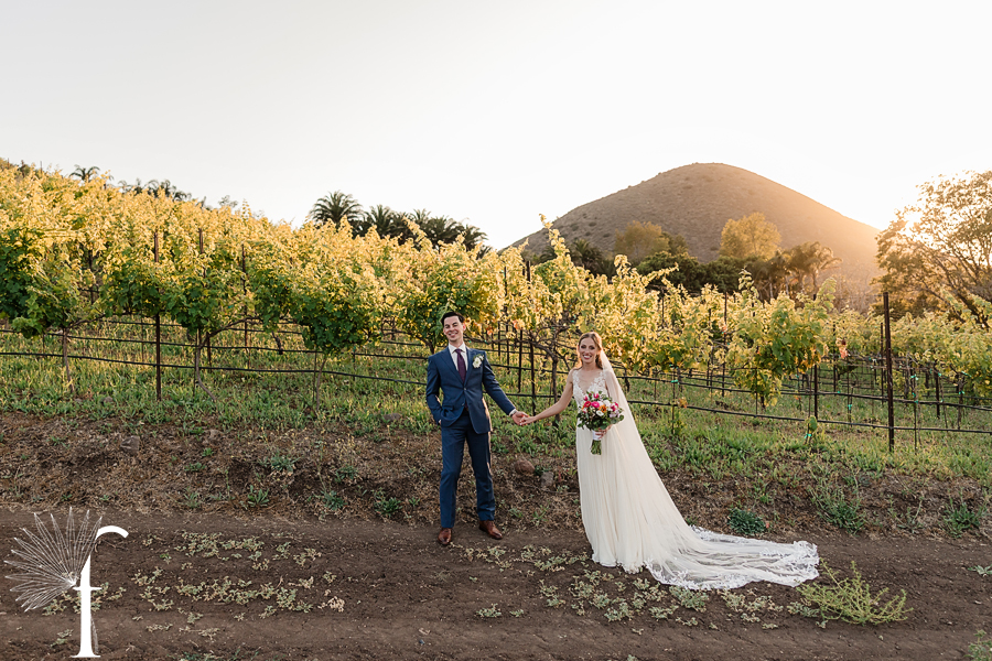 Casi Cielo Vineyards Wedding | Laura & Chris 