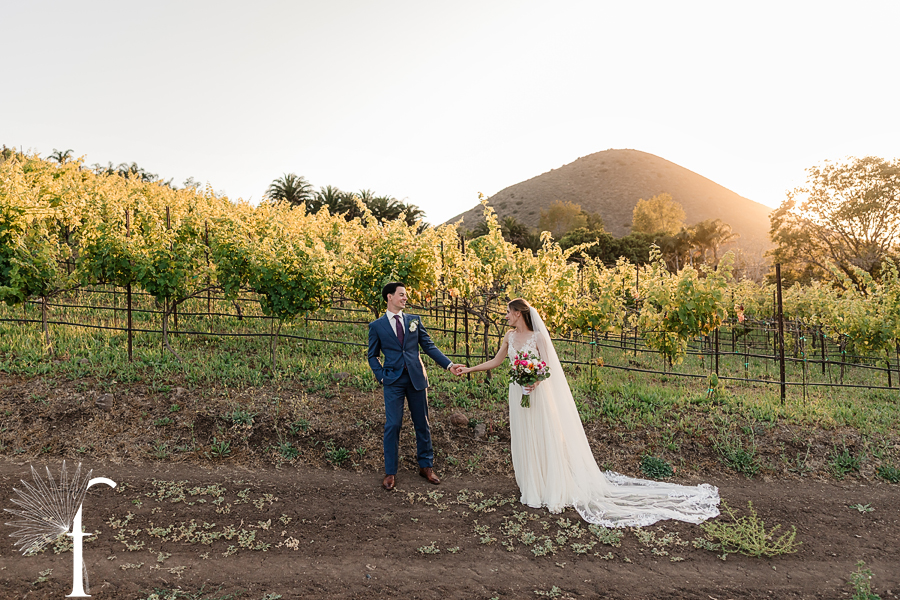 Casi Cielo Vineyards Wedding | Laura & Chris 