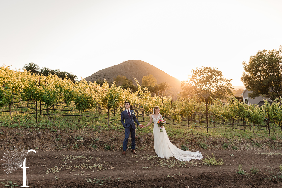 Casi Cielo Vineyards Wedding | Laura & Chris 