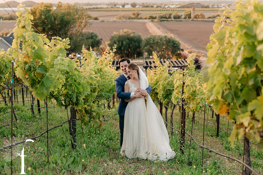 Casi Cielo Vineyards Wedding | Laura & Chris 