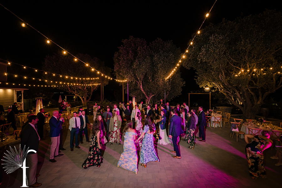 Casi Cielo Vineyards Wedding | Laura & Chris 