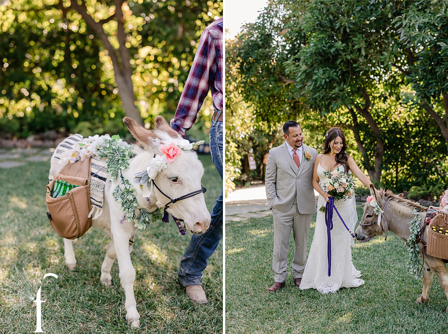 Gerry Ranch Wedding Santa Rosa Valley | Bri & Luke 