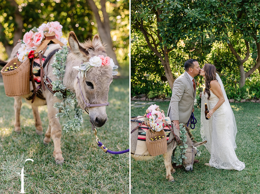 Gerry Ranch Wedding Santa Rosa Valley | Bri & Luke 