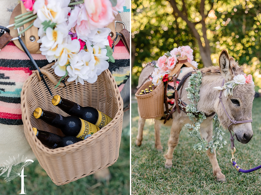 Gerry Ranch Wedding Santa Rosa Valley | Bri & Luke 