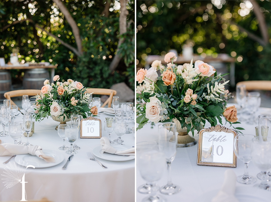 Gerry Ranch Wedding Santa Rosa Valley | Bri & Luke 