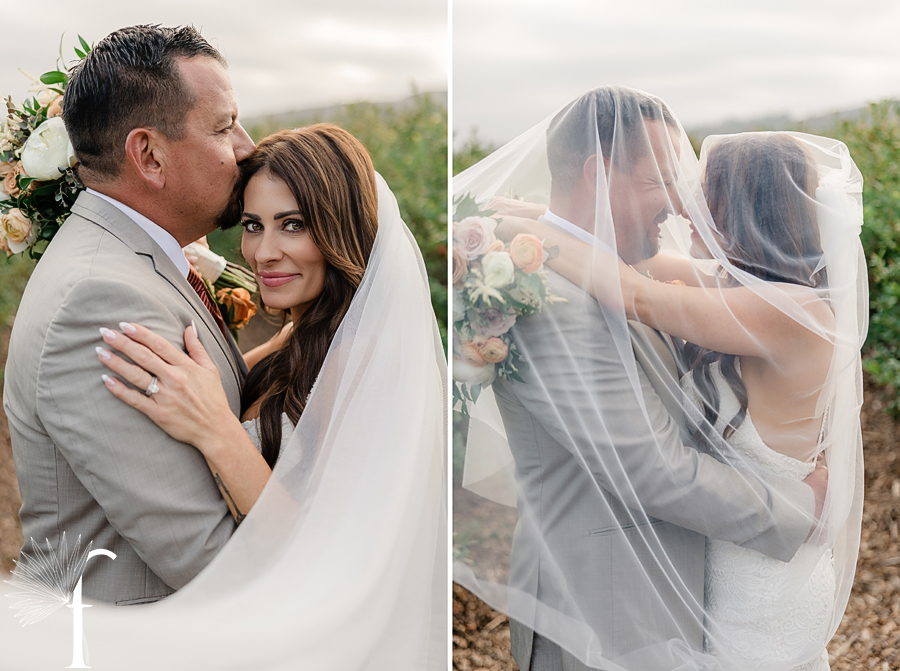 Gerry Ranch Wedding Santa Rosa Valley | Bri & Luke 