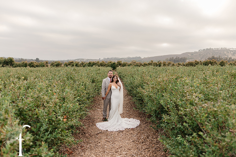 Gerry Ranch Wedding Santa Rosa Valley | Bri & Luke 